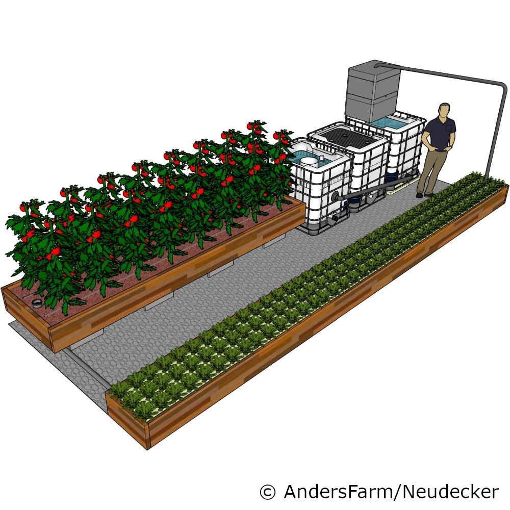 Bauplan - 3 IBC-Hochleistungsanlage (DE & EN)