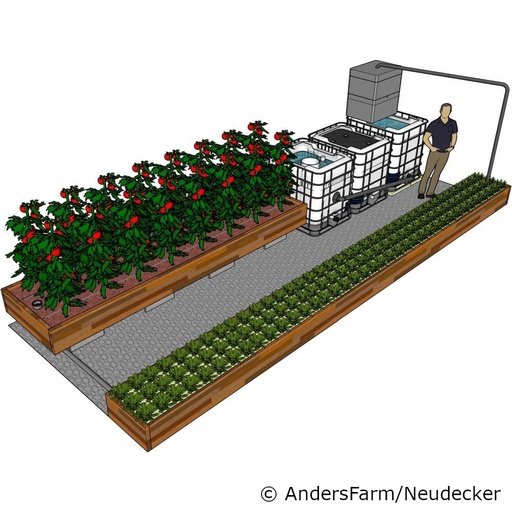Bauplan - 3 IBC-Hochleistungsanlage (DE & EN)