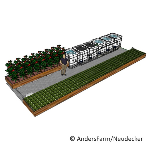 Bauplan - 6 IBC Anlage (DE)